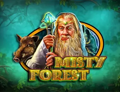 Misty Forest